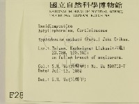 冇骨消絲齒菌藏品圖，第2張