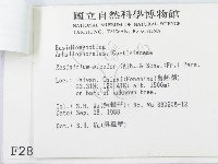 登錄號:F0002884藏品圖，第3張