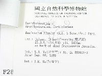 登錄號:F0002885藏品圖，第3張