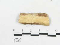 登錄號:F0002885藏品圖，第4張