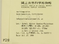 登錄號:F0002887藏品圖，第2張