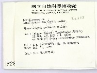 登錄號:F0002888藏品圖，第2張