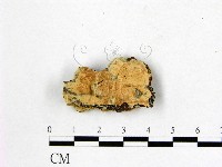 登錄號:F0002888藏品圖，第1張