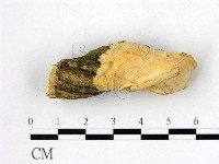 登錄號:F0002889藏品圖，第1張