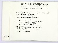 登錄號:F0002891藏品圖，第2張