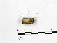 登錄號:F0002891藏品圖，第1張