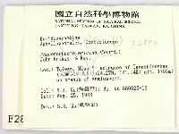 登錄號:F0002892藏品圖，第2張