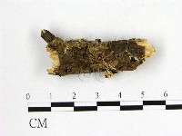 登錄號:F0002892藏品圖，第1張