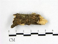 登錄號:F0002892藏品圖，第3張