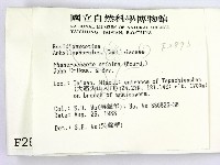 登錄號:F0002893藏品圖，第2張