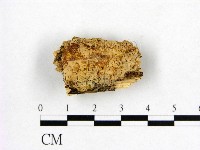 登錄號:F0002894藏品圖，第1張