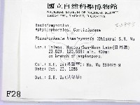 登錄號:F0002895藏品圖，第2張