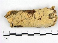 登錄號:F0002895藏品圖，第1張