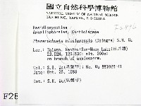 登錄號:F0002896藏品圖，第2張