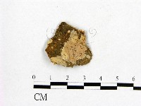 登錄號:F0002896藏品圖，第1張