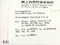 登錄號:F0002898藏品圖，第2張