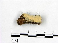 登錄號:F0002898藏品圖，第1張