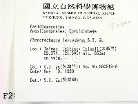 登錄號:F0002899藏品圖，第2張