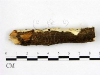 登錄號:F0002899藏品圖，第1張