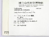 登錄號:F0002903藏品圖，第2張