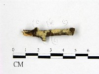 登錄號:F0002903藏品圖，第1張