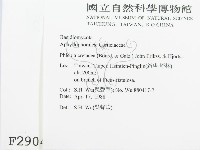 登錄號:F0002904藏品圖，第2張