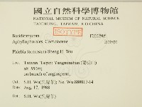 登錄號:F0002905藏品圖，第2張