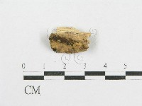 登錄號:F0002905藏品圖，第1張