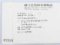 登錄號:F0002906藏品圖，第2張