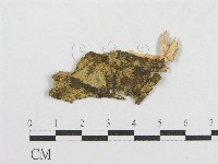 登錄號:F0002906藏品圖，第1張