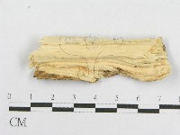 登錄號:F0002907藏品圖，第1張