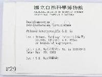 登錄號:F0002908藏品圖，第2張