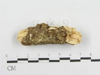 登錄號:F0002908藏品圖，第1張