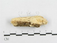 登錄號:F0002908藏品圖，第3張