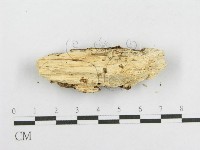 登錄號:F0002908藏品圖，第4張