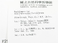 登錄號:F0002910藏品圖，第2張