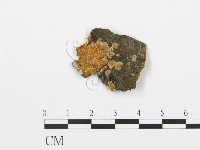 登錄號:F0002910藏品圖，第1張