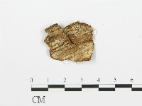 登錄號:F0002910藏品圖，第3張