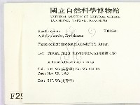 登錄號:F0002911藏品圖，第2張