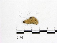 登錄號:F0002911藏品圖，第1張