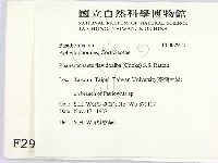 登錄號:F0002912藏品圖，第2張