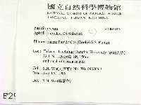 登錄號:F0002913藏品圖，第2張
