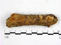 登錄號:F0002913藏品圖，第1張