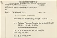 登錄號:F0002913藏品圖，第3張