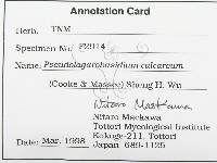 登錄號:F0002914藏品圖，第3張