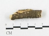 登錄號:F0002914藏品圖，第1張