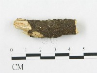 登錄號:F0002914藏品圖，第4張