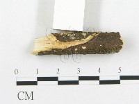 登錄號:F0002914藏品圖，第5張