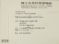 登錄號:F0002917藏品圖，第2張