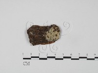 登錄號:F0002917藏品圖，第1張
